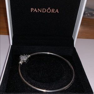 Pandora Charm Bracelet